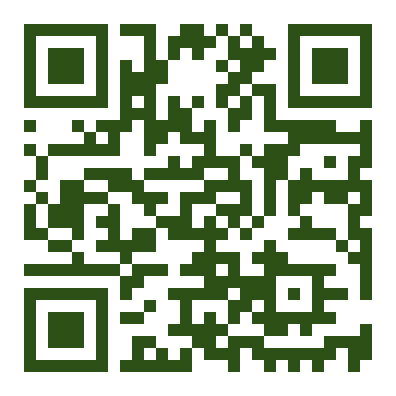 QR: Rutube